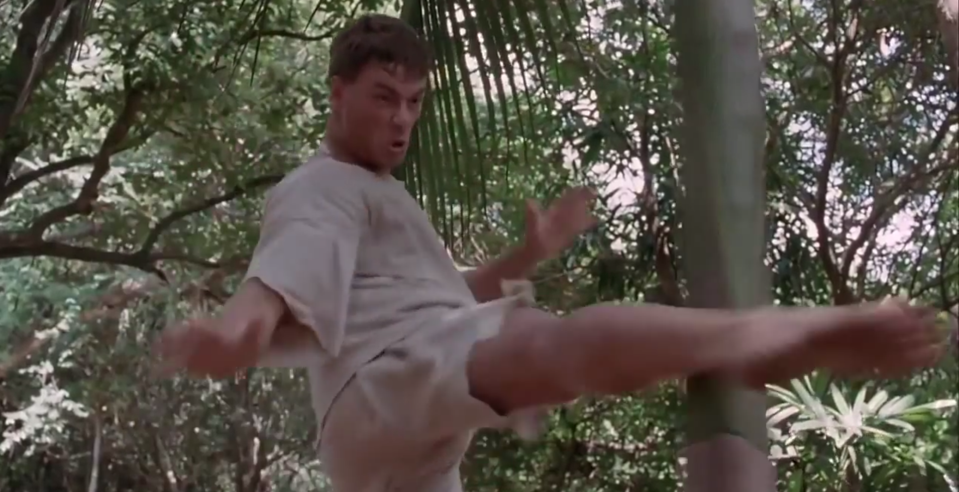 9. För alla er som sett filmen Kickboxer med Van Damme: Scenen då han sparkar på en palm tills benet skiftar i lila – har ni också svårt att radera den från hornhinnan? 9. För alla er som sett filmen Kickboxer med Van Damme: Scenen då han sparkar på en palm tills benet skiftar i lila – har ni också svårt att radera den från hornhinnan?